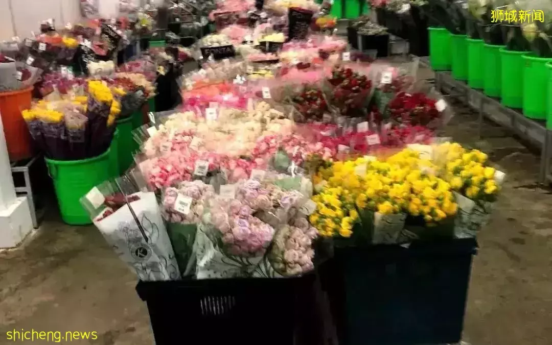 鮮花在熱帶也能養1個月？資深花友新加坡買花、養護大揭秘