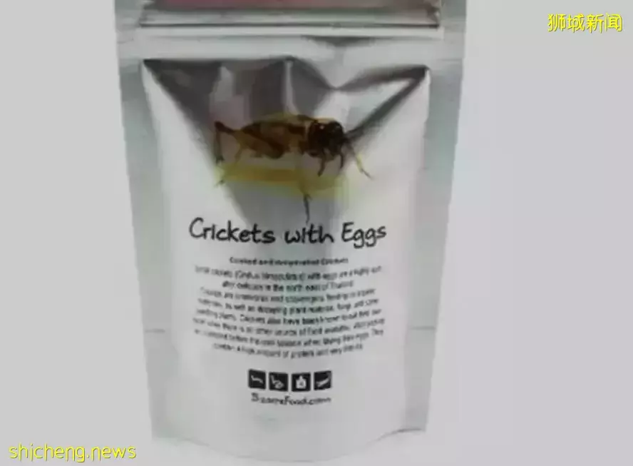 新加坡会鼓励当地人吃虫子吗？理由：本地缺蛋白质