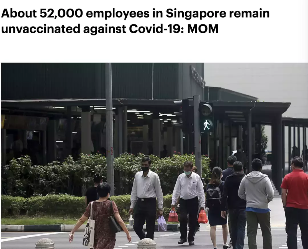 超多回國航班熔斷!新加坡決戰奧密克戎,這三點很重要!5000多人爲這個規定請願