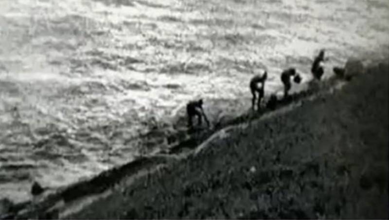 偷渡團夥成員確診新冠！網友建議他遊泳離開新加坡