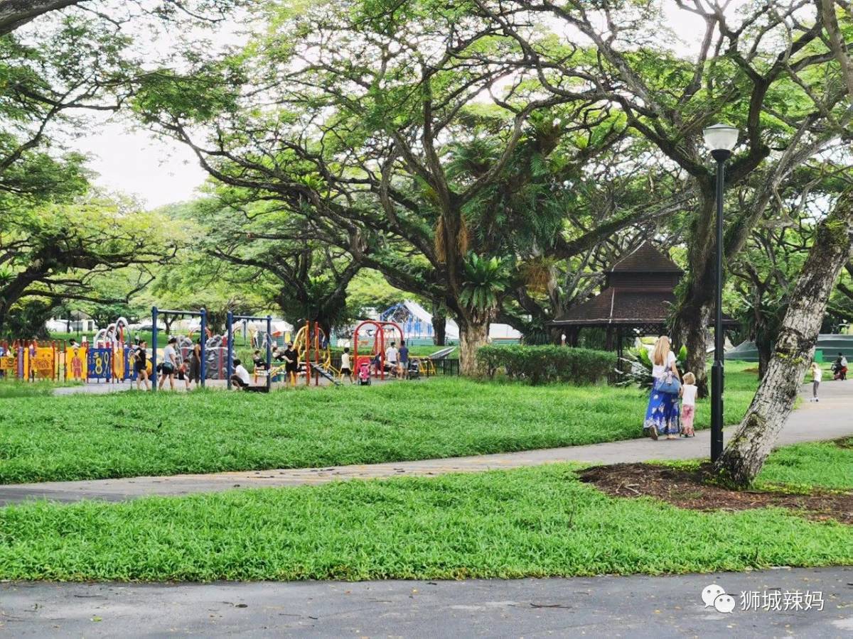 新加坡最好玩的海滩公园！赶海、骑马、划艇、树篱迷宫、烧烤露营，超适合家庭出游