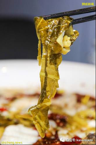 等了6年，風靡中國的網紅酸菜魚終于來新加坡了