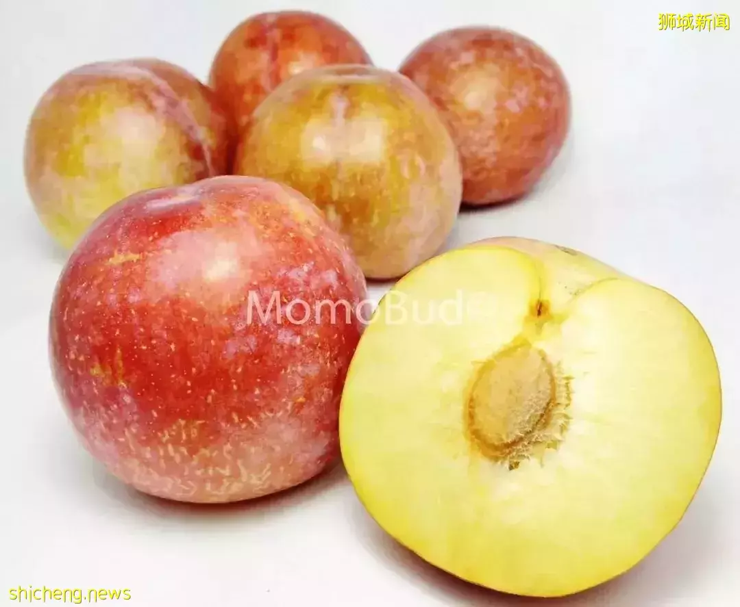 为什么同样的水果摊，你妈买的香甜可口，你买的像得罪了摊主