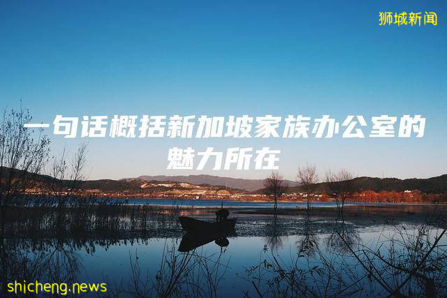 一句话概括新加坡家族办公室的魅力所在