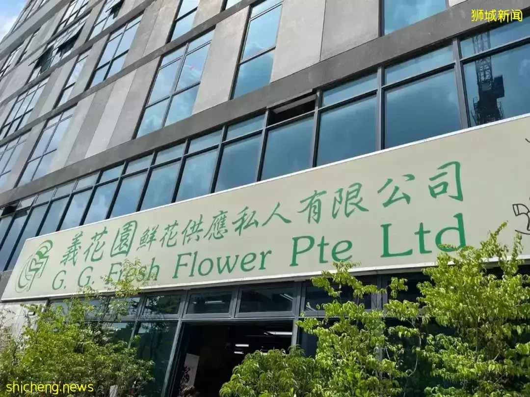 鮮花在熱帶也能養1個月？資深花友新加坡買花、養護大揭秘