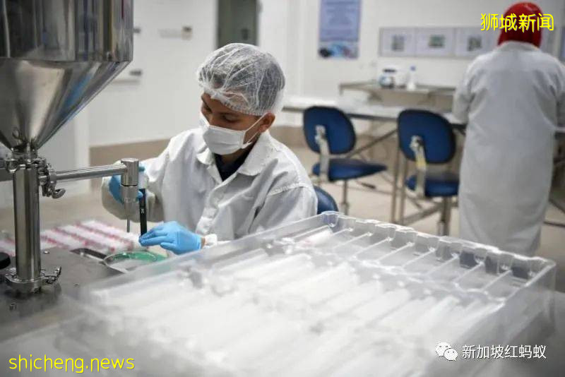 疫情中的曙光 盘点新加坡这几个逆流而上的“亮点”行业