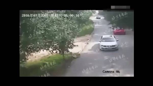 残忍！上海动物园熊吃人，亲眼目睹！新加坡也发生过类似案件！印度最惨