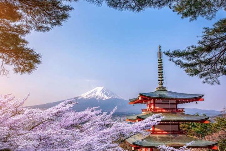 最新!日本对新加坡和中国入境者免检测!网友:小心去了回不来