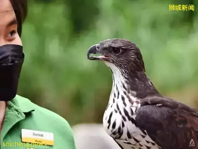 小朋友超爱！裕廊飞禽公园露营！和火烈鸟一起度过美好夜晚