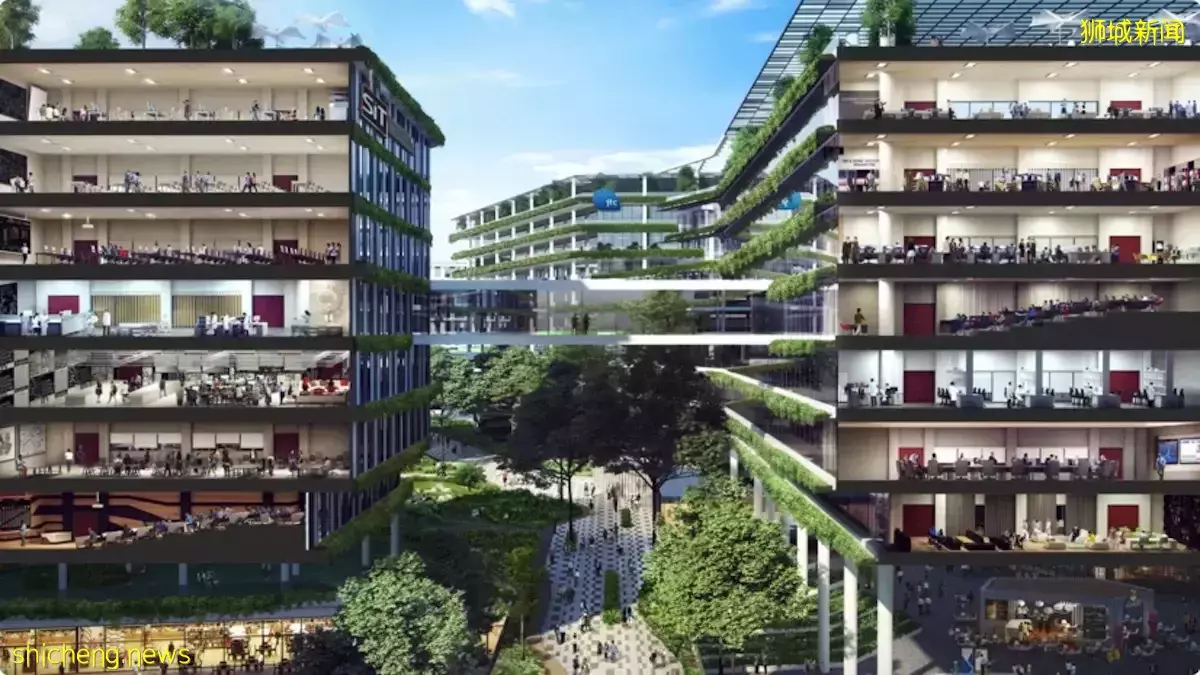 新加坡目前缺这些人才, 最低工资$5,000不算多