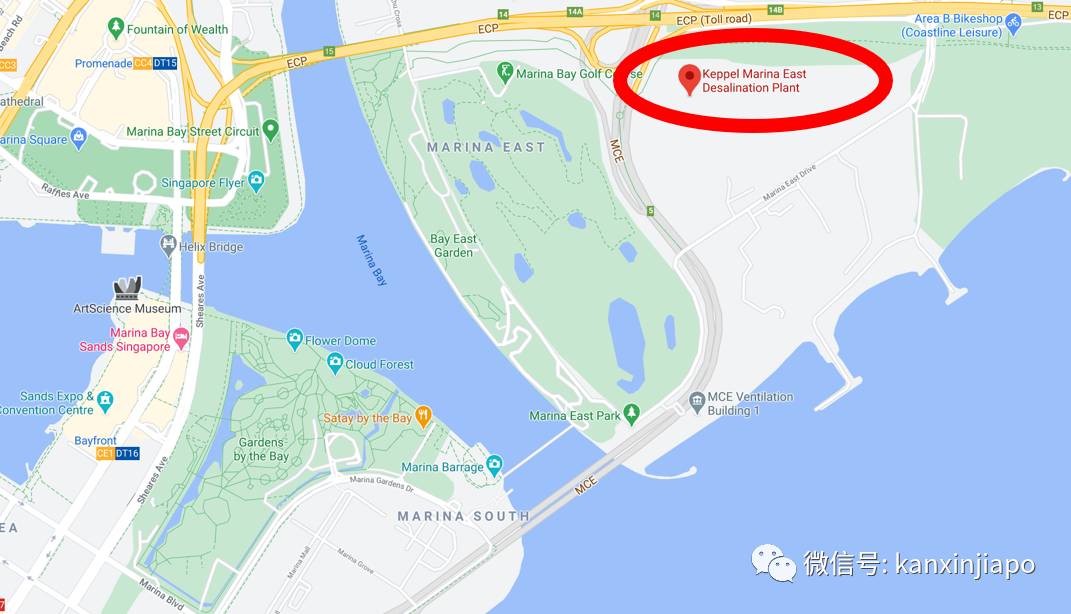 躺草坪、赏日落、看金沙!吉宝滨海东海水淡化厂成休闲新去处