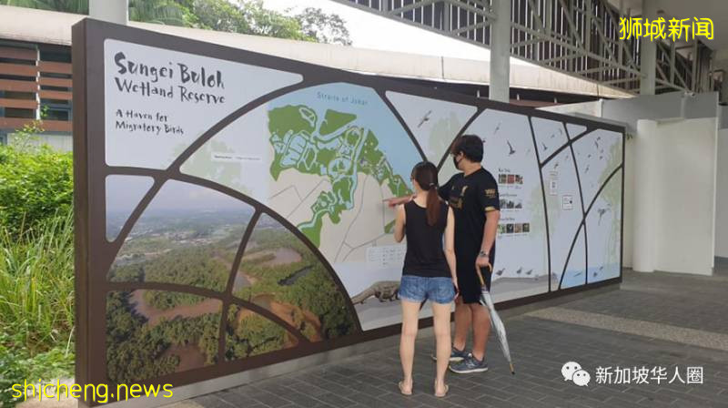 何時能從新加坡回家看家人，好久不見，你還好嗎？這麽近那麽遠!