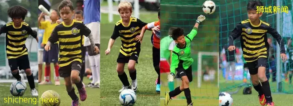 一直被問6月假期營！38個熱門：野炊、繪畫、圍棋、蹦床、編程、魔方、財商都有