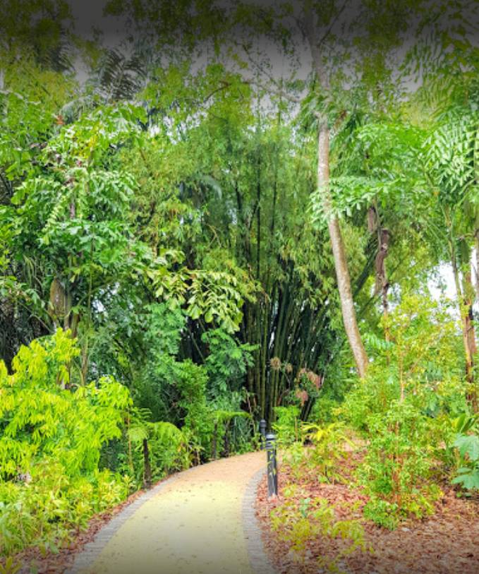 新加坡植物園爆火新景點,不知道怎麽去?手把手教你遊玩攻略