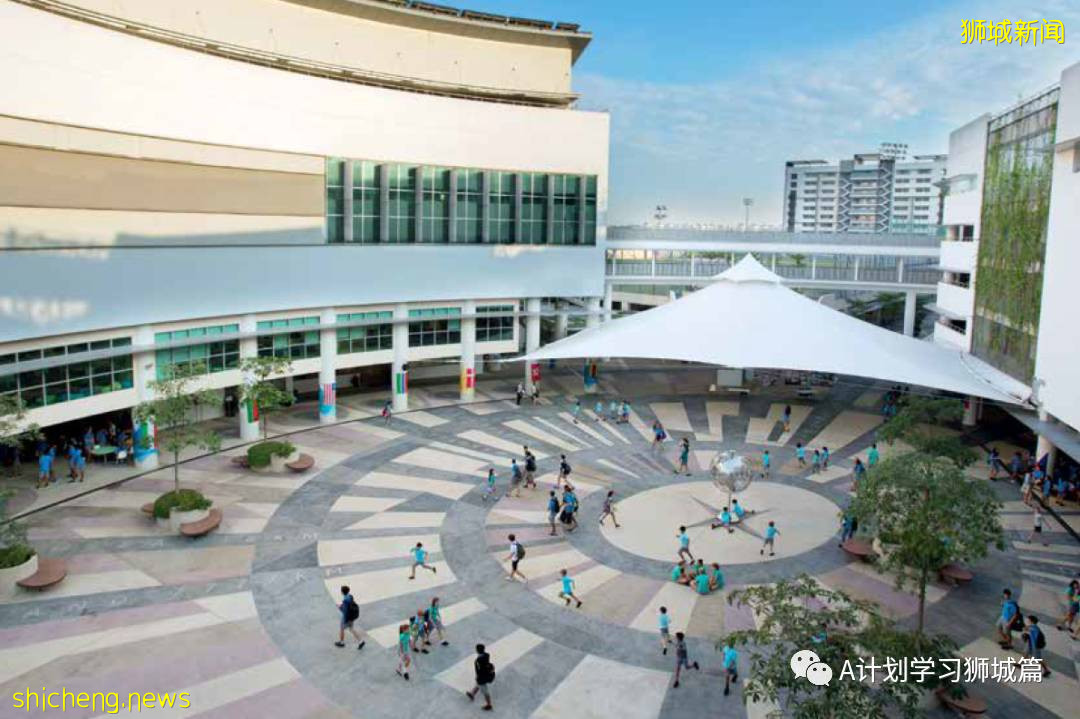 新加坡國際學校IB成績彙總（2021.5）