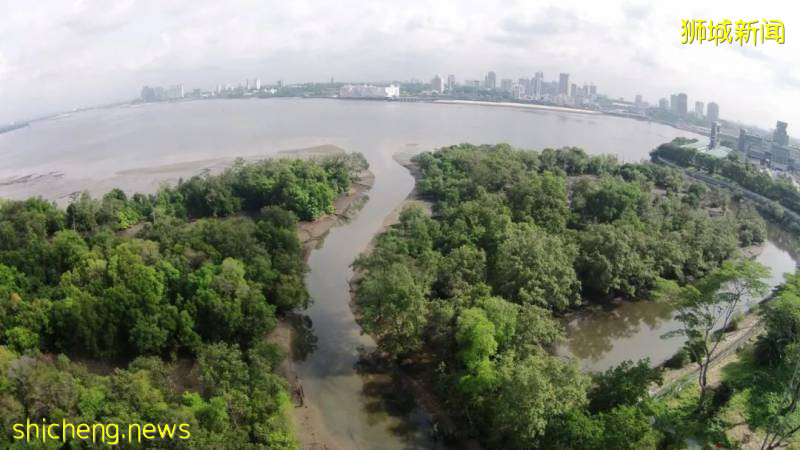 15公裏步道、紅樹林、親子遊…新加坡要建超大自然公園,看看是不是就在你家附近