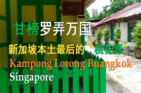 坡島這7條“野生”騎行路線，一定讓愛好騎行的你欲罷不能