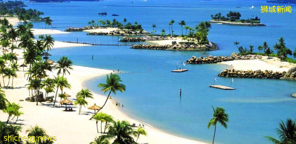 爆笑！新加坡的“凡爾賽”朋友圈！太有趣了