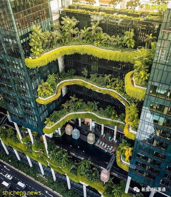 美如畫卷的新加坡，等你來!