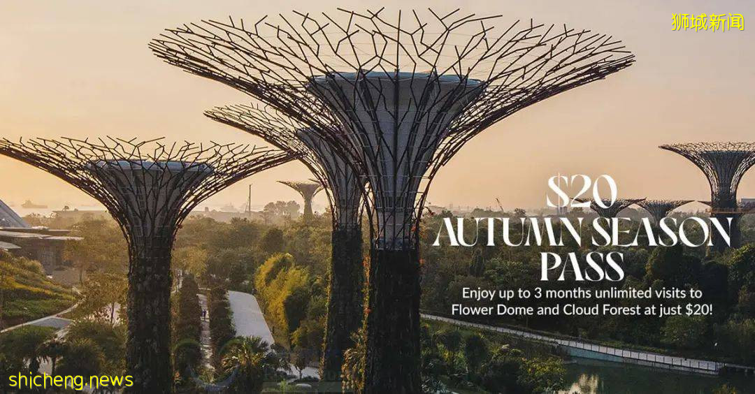 【周末去哪】蹦床免費玩！5.5折動物園門票、$1飛禽公園、中秋燈展，夜間滑道