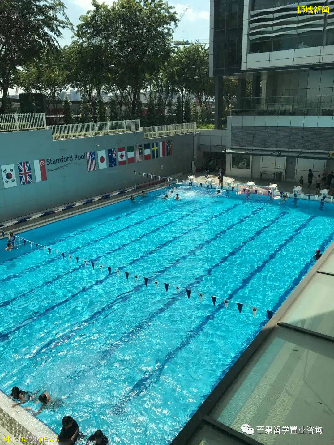 新加坡这两所超人气国际学校,为何独受明星、高管家长青睐