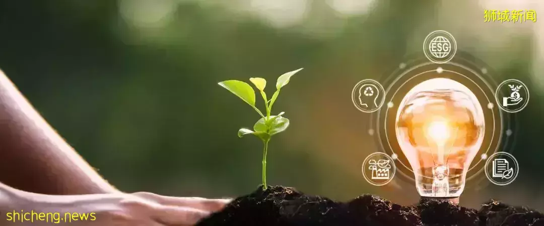 全新课程开放!新加坡南洋理工大学商学院协同多家机构,开设可持续金融课程