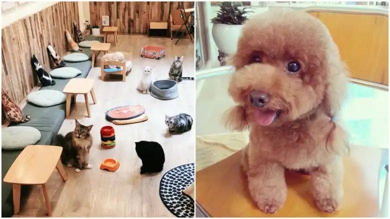 即使不出国,也能过得多姿多彩——上