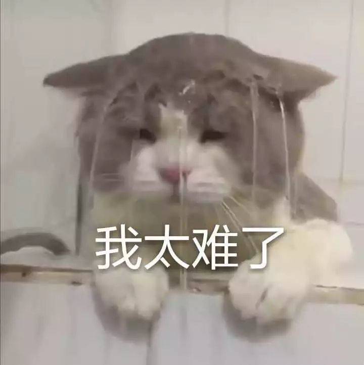 下雨天☔️冷冷冷,最適合雨天的熱乎美食大盤點~暖心又暖胃