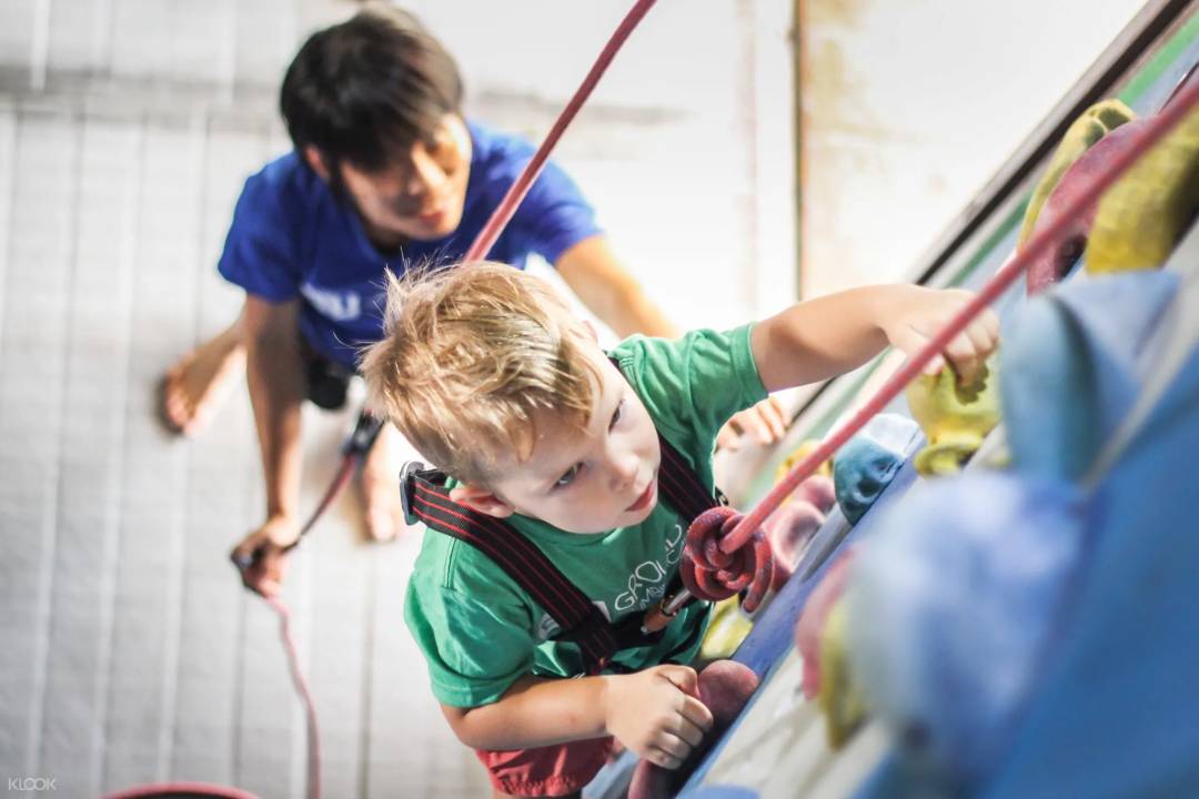 被新加坡媽媽種草!全島最全興趣班網站,手把手教你選離家近的