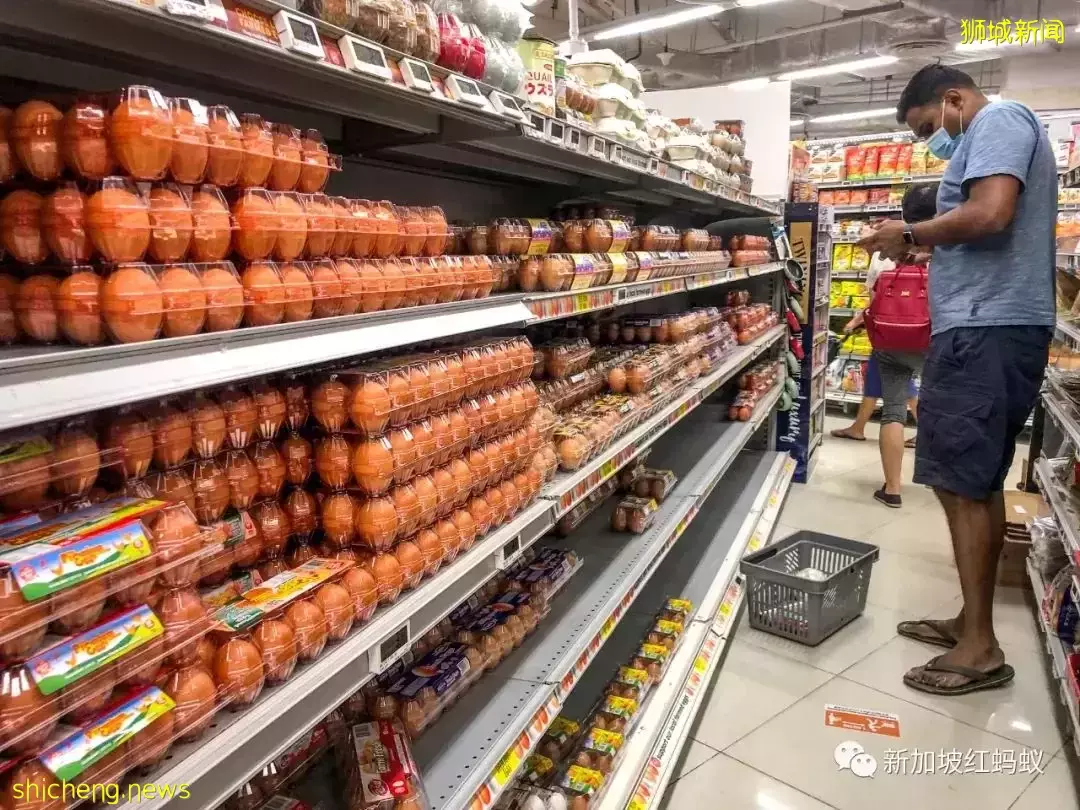 马国活鸡暂时来不了 新加坡人该如何做好准备