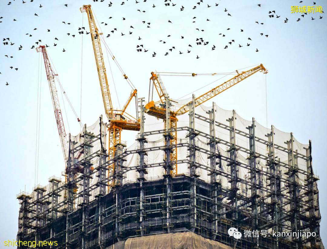 “来新加坡当客工的第一天，就体会到深深的无力感……”