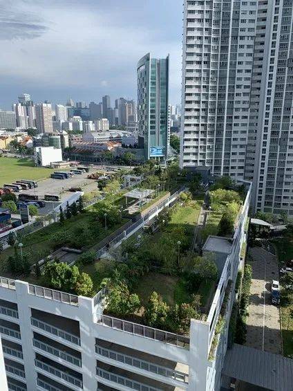 文庆路五房式组屋以120.5万新元转售价刷新纪录