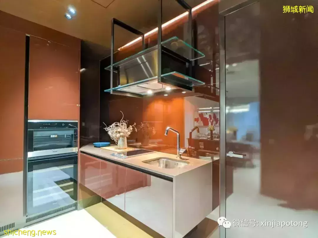 乌节三翠林：第10邮区豪宅，永久地契，值得您收藏，最新豪华四卧室样板房