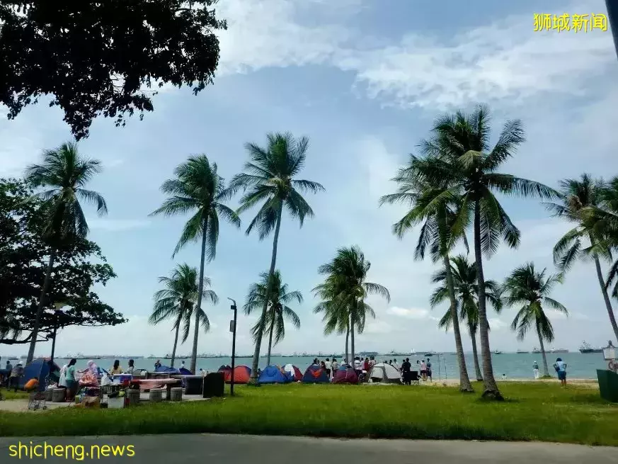 新加坡随处放风筝可能被罚款!6个合法放风筝地点收好不谢