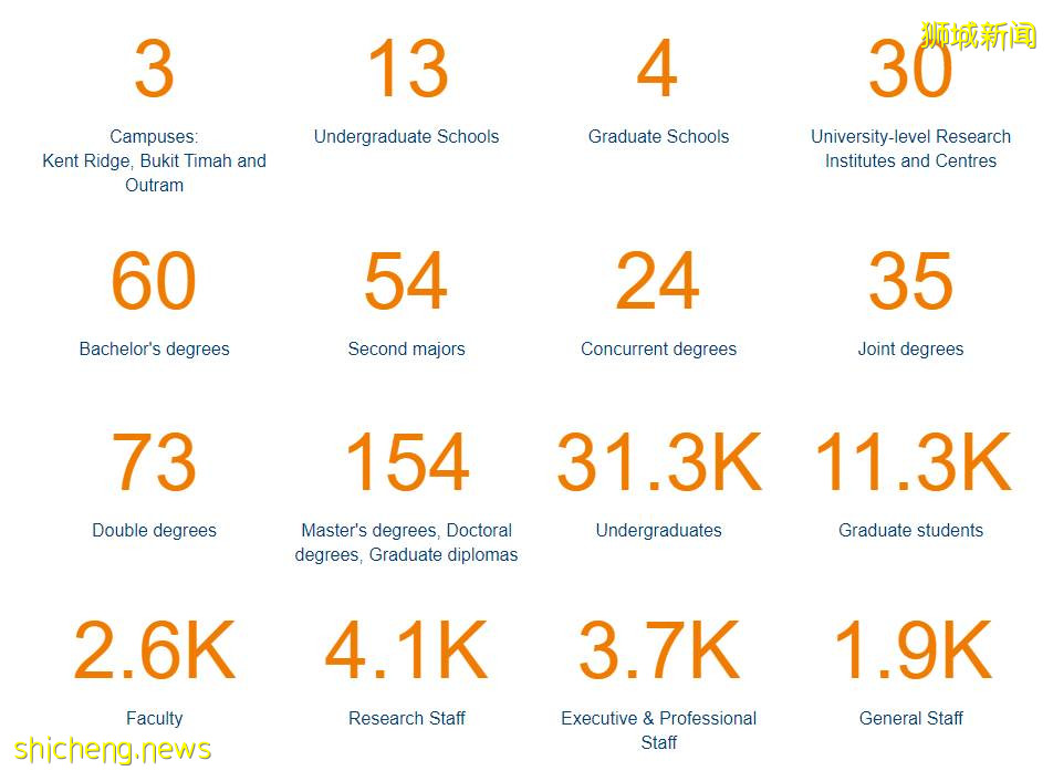 新加坡 高考過後,多樣選擇