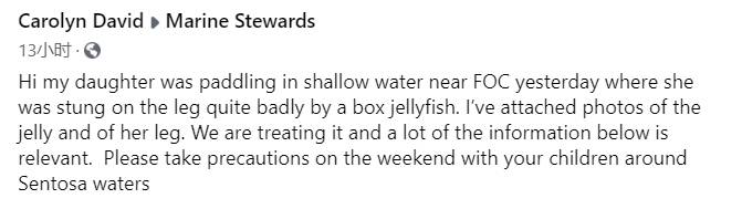 警惕！圣淘沙惊现剧毒水母，蛰伤女孩起水泡和红色伤痕