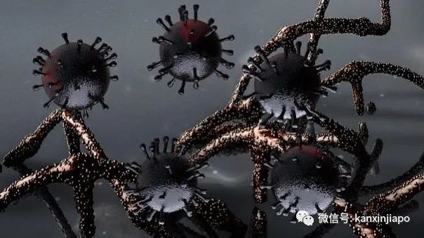 32个国家239位专家向世卫组织表示，新冠病毒可通过空气传播