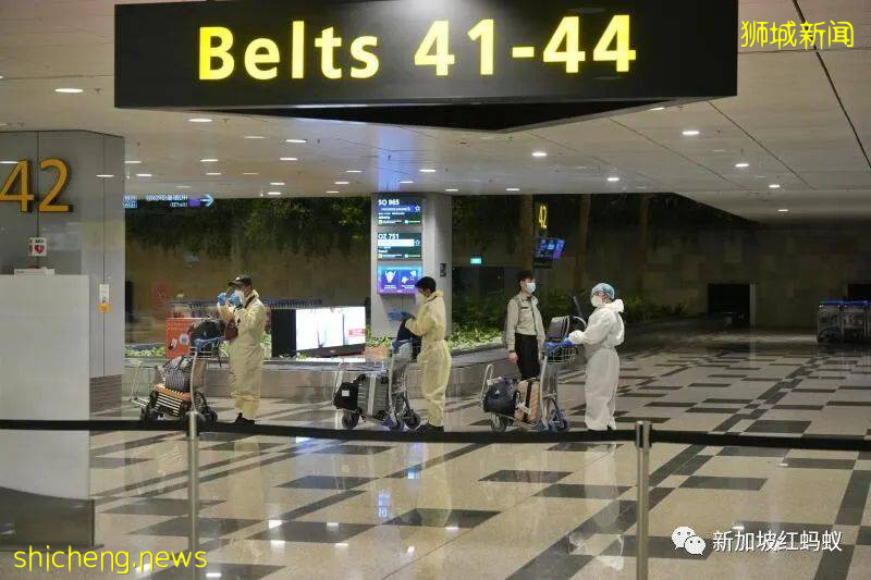 “南亞”一詞在新加坡成了輿論熱點 當局不明說國名有何顧慮