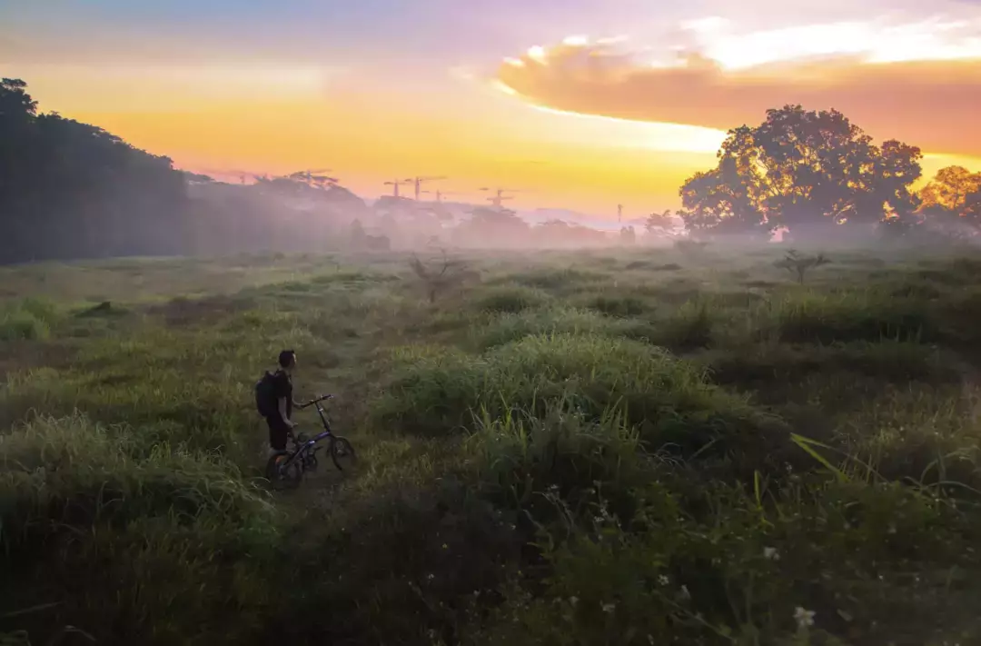 假期出遊第二彈 新加坡隱藏的“寶藏”勝地