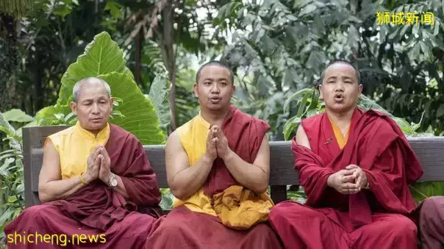 带你认识一个真实的新加坡,当地人的生活,让人很羡慕