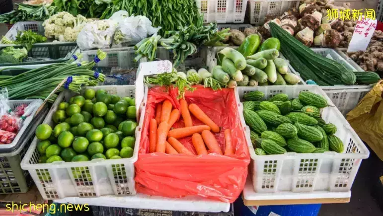 兩周後，新加坡又宣布“發錢”！春節後12個新政影響全島公民、PR、准證人士