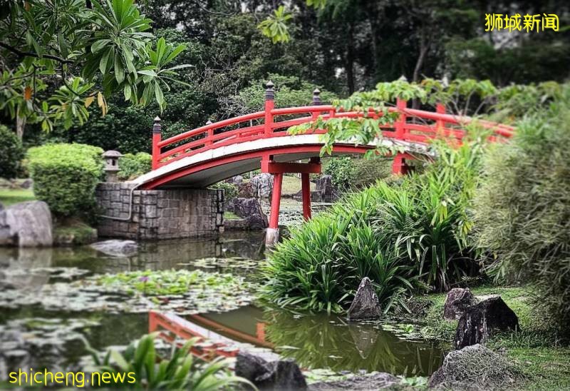 美如畫卷的新加坡，等你來!