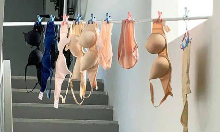 快過年了，竟有人在新加坡組屋走廊開“養雞場”，30只好熱鬧