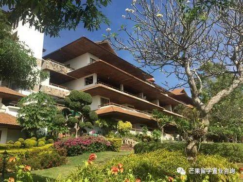 新加坡超人气民宿