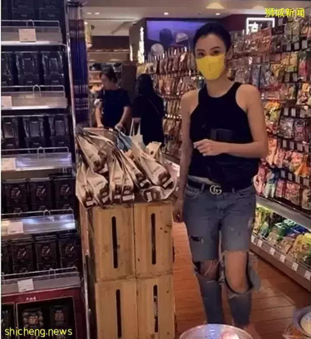 全網熱議！吳尊送娃去中國上學，張柏芝離開坡回上海定居！新加坡不香了