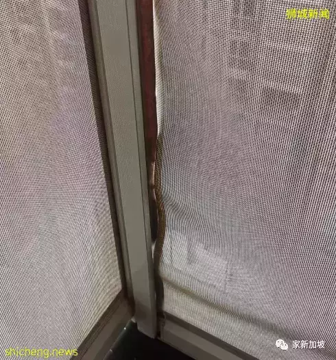 二手房交房状况实录