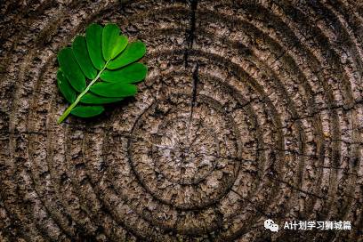 新加坡国立大学工学院理学硕士申请