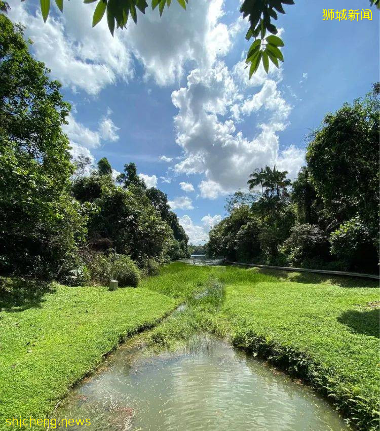 玩在獅城 盤點全島這15個免費景點，讓你玩的省錢又開心
