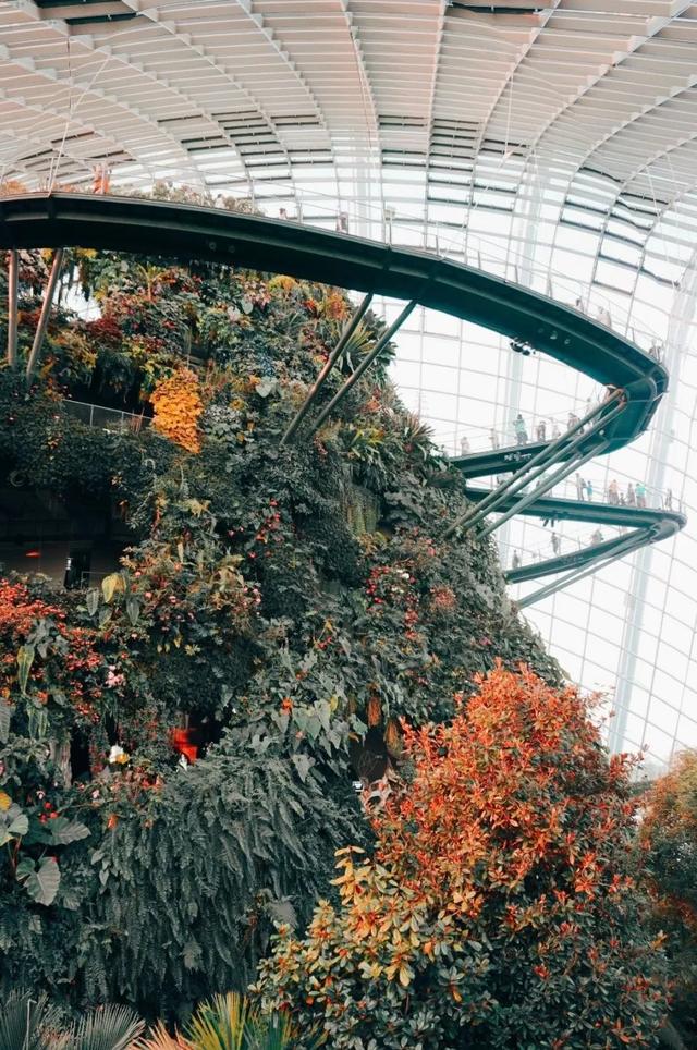 新加坡旅行|6天5晚奇遇狮城的日与夜