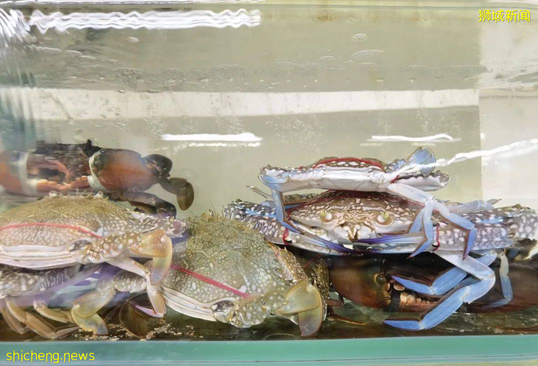 新加坡再次解封後，這家中國超市火了！80多種海鮮$2起！小龍蝦辣條包點東北大米扛回家